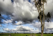 天涯论坛情感天地里的肉肉